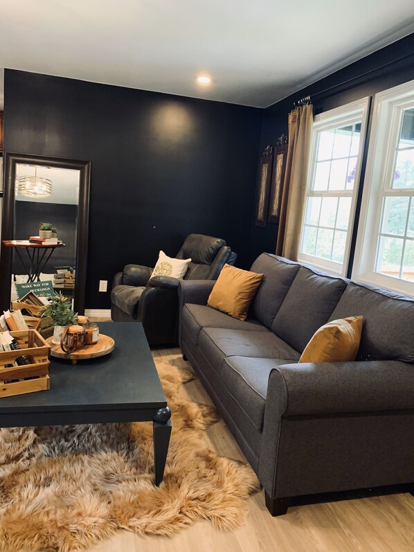 Smart TV, fireplace, books