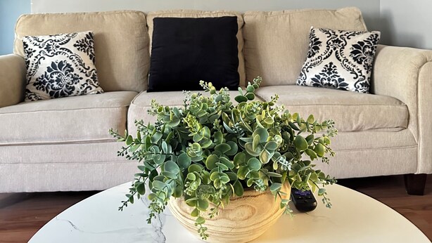 Un salon avec un canapé beige, des coussins à motifs, un coussin noir et une plante en pot posée sur une table basse en marbre.