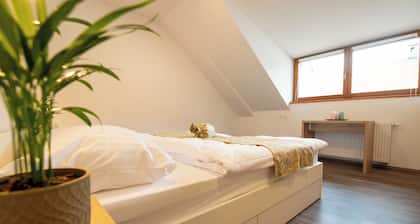 Guesthouse Stari Mayr
