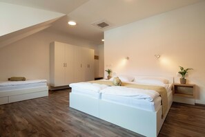 Soundproofing, free WiFi, bed sheets - Guesthouse Stari Mayr (Kranj)