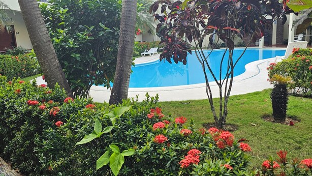 Una piscina rodeada de abundante vegetación y flores rojas, con un edificio al fondo.