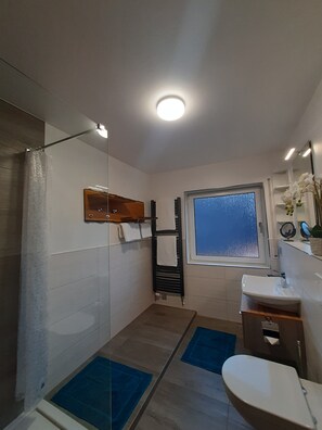 Douche, sèche-cheveux, serviettes fournies, papier toilette