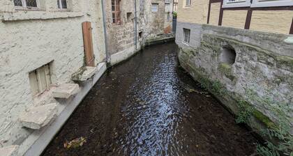 Family-friendly vacation home Bornholzweg in Quedlinburg - 157 sqm