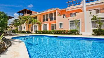 Relax by the pool surrounded by lounge chairs and a palm tree.
