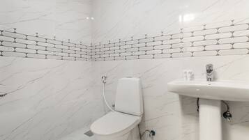 Shower, hair dryer, bidet, towels