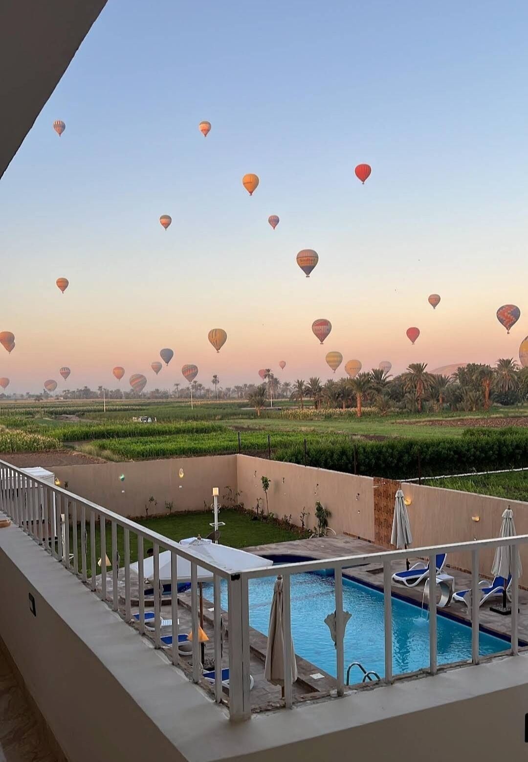 テラス / パティオ