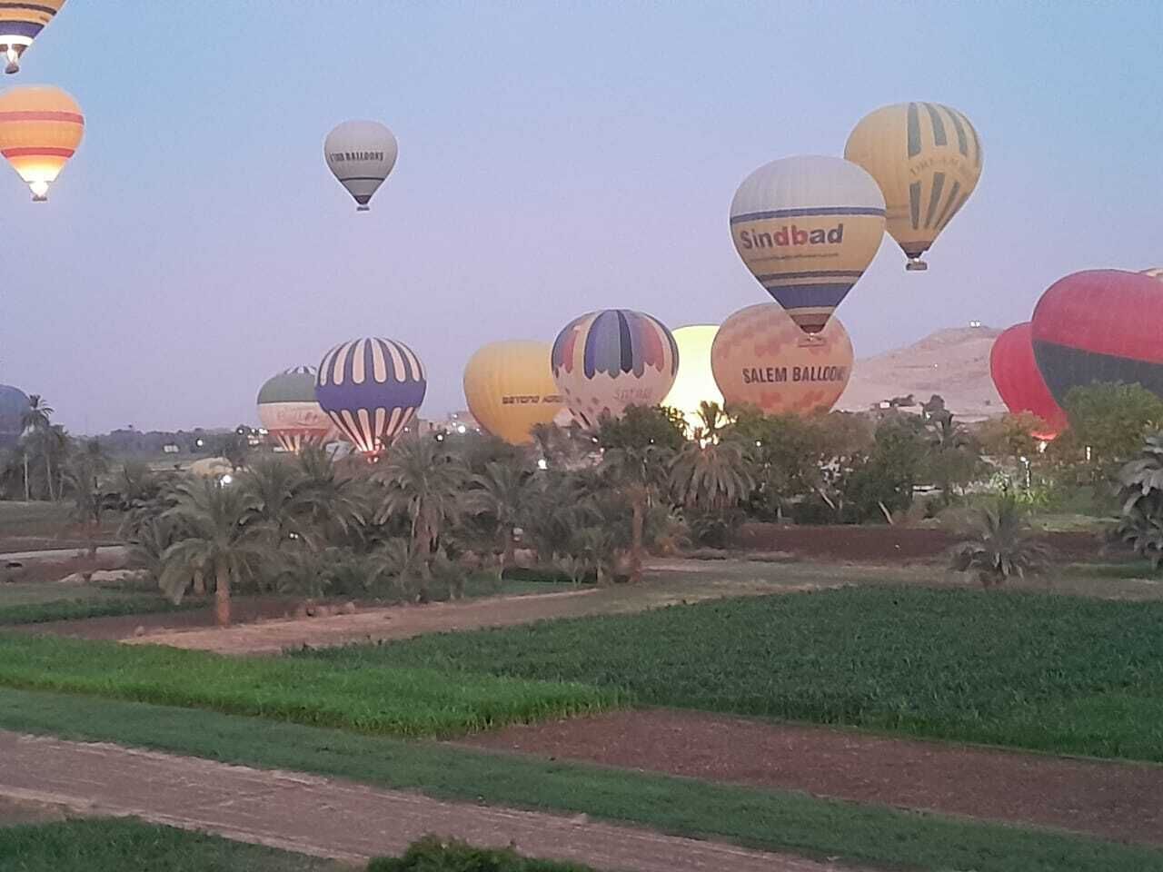 A field with several hot air balloons in the background.