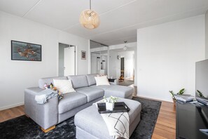 TV connectée, livres, vidéothèque, chaîne hi-fi