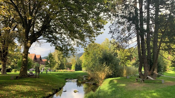 Un parco tranquillo con un piccolo ruscello, panchine e vegetazione rigogliosa.
