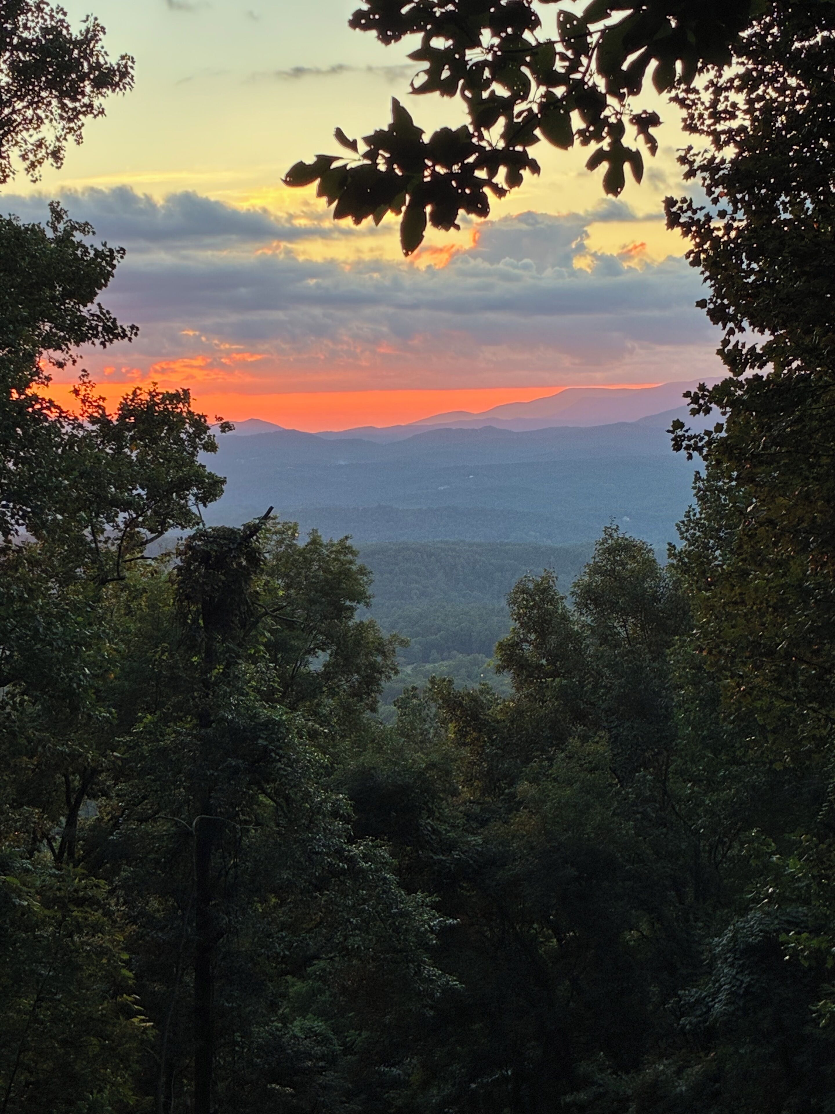 A forested landscape with a sunset view.