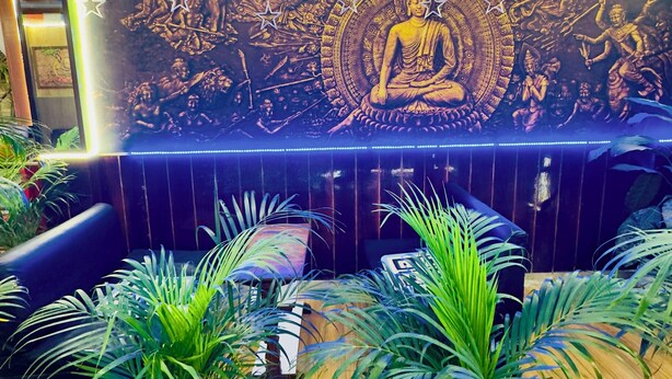 Una habitación con un mural de una figura meditativa, un sofá y varias plantas en macetas.