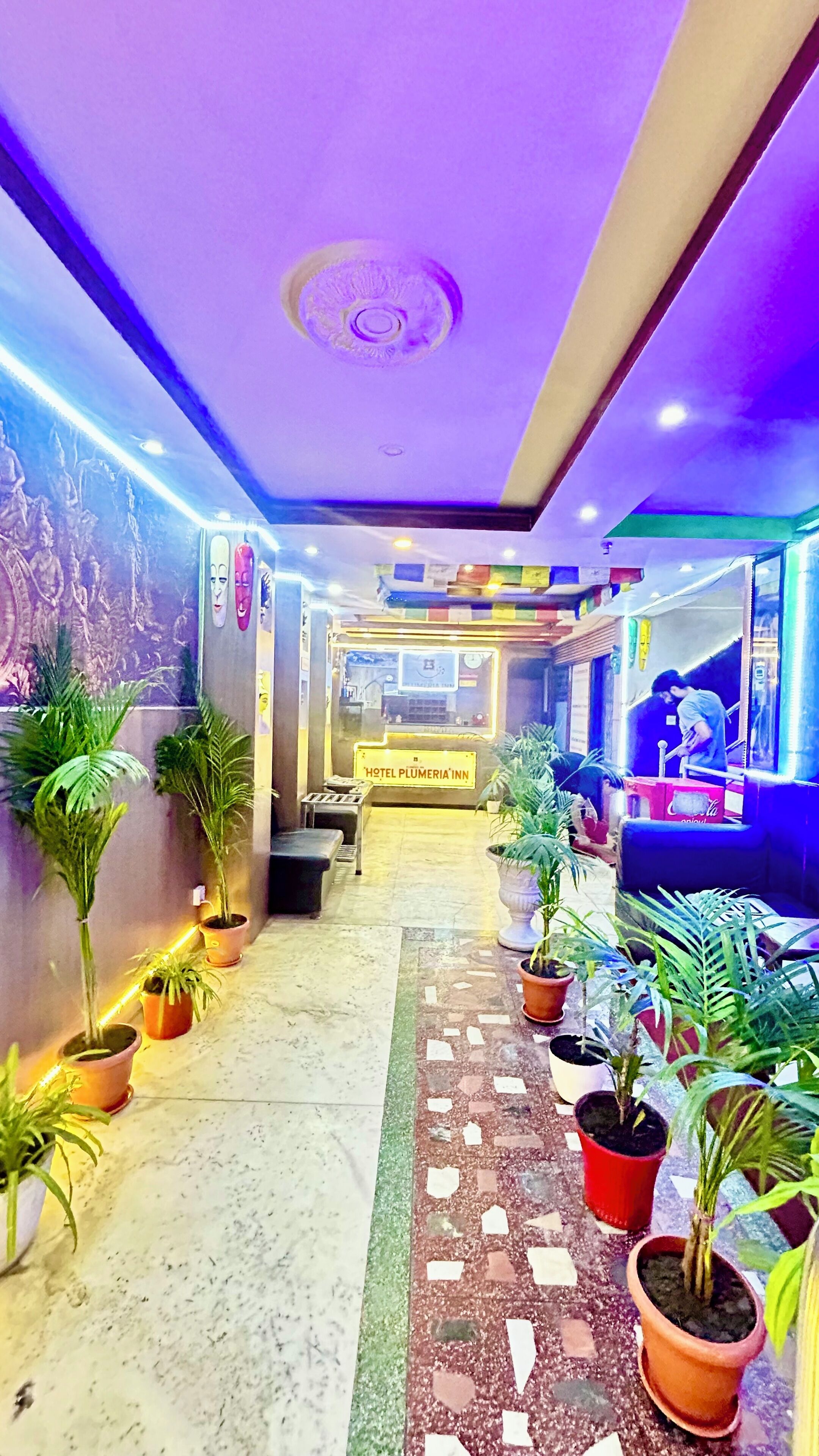 Un vestíbulo de hotel con un mostrador de recepción central, plantas en macetas y un suelo estampado.