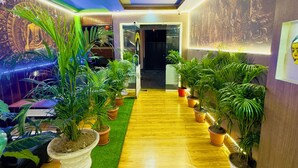Un pasillo con piso de madera, césped artificial verde y plantas en macetas.