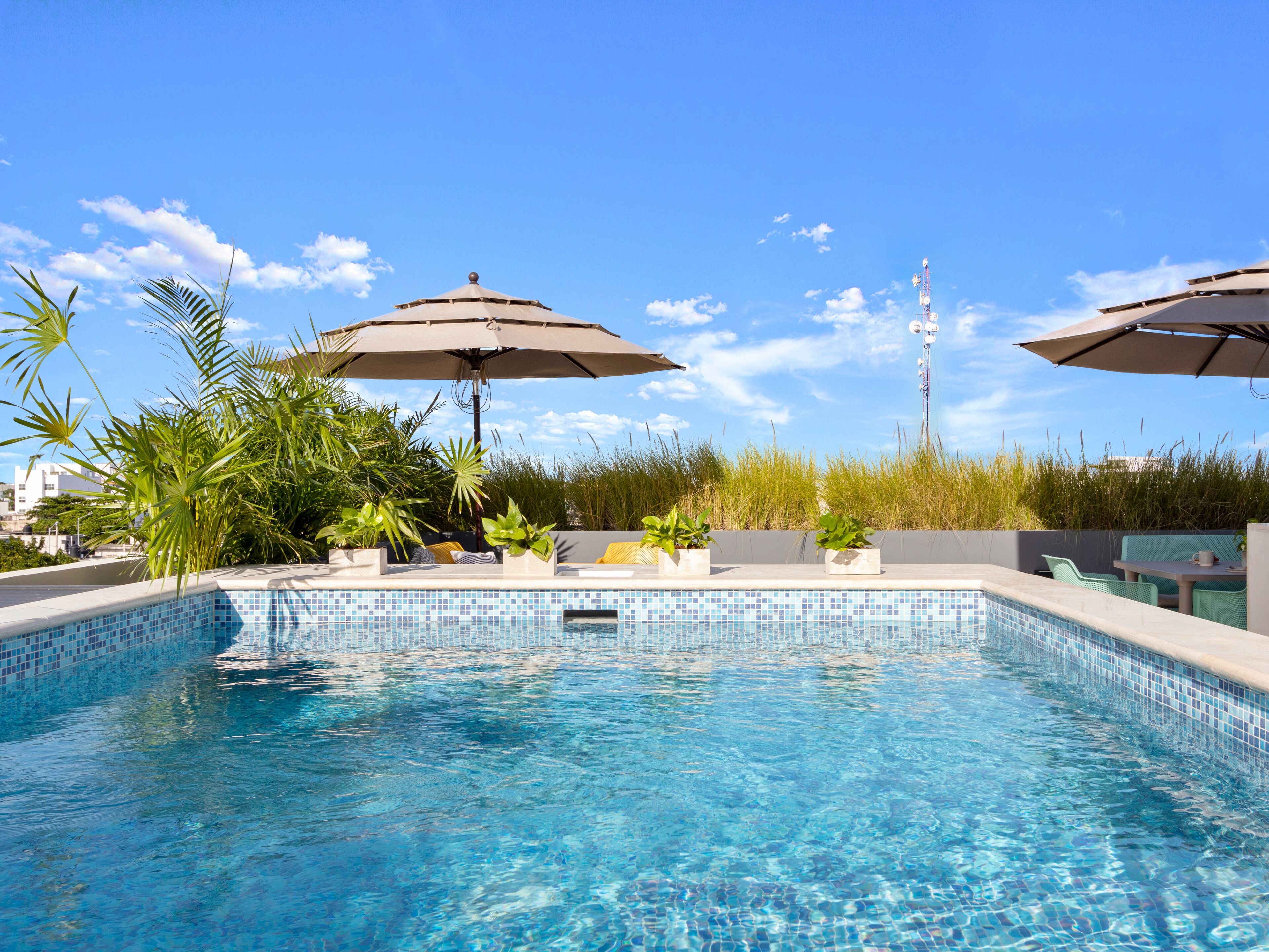 室外泳池；躺椅