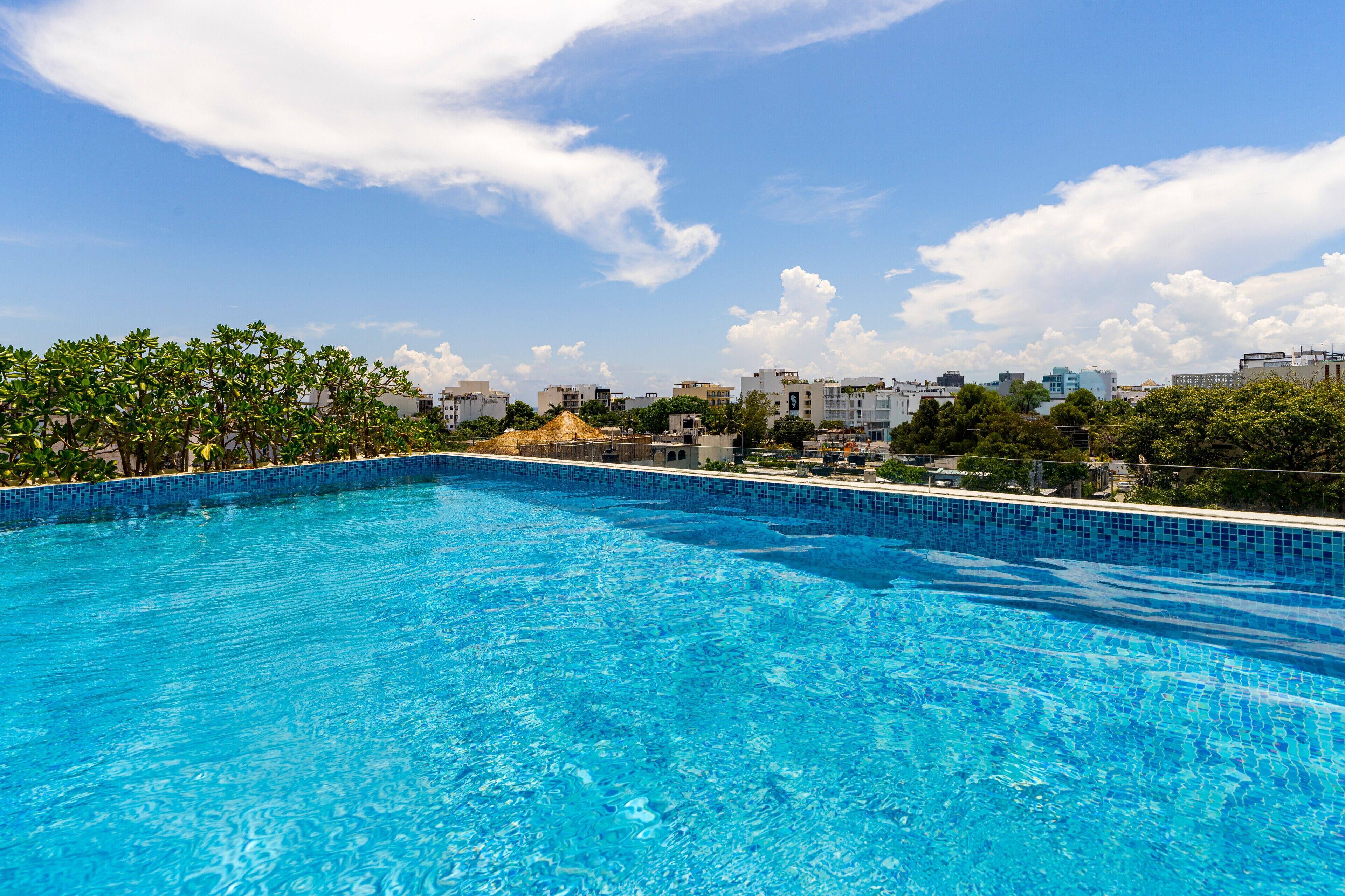 A clear blue swimming pool with a tiled edge, surrounded by greenery and buildings in the background.