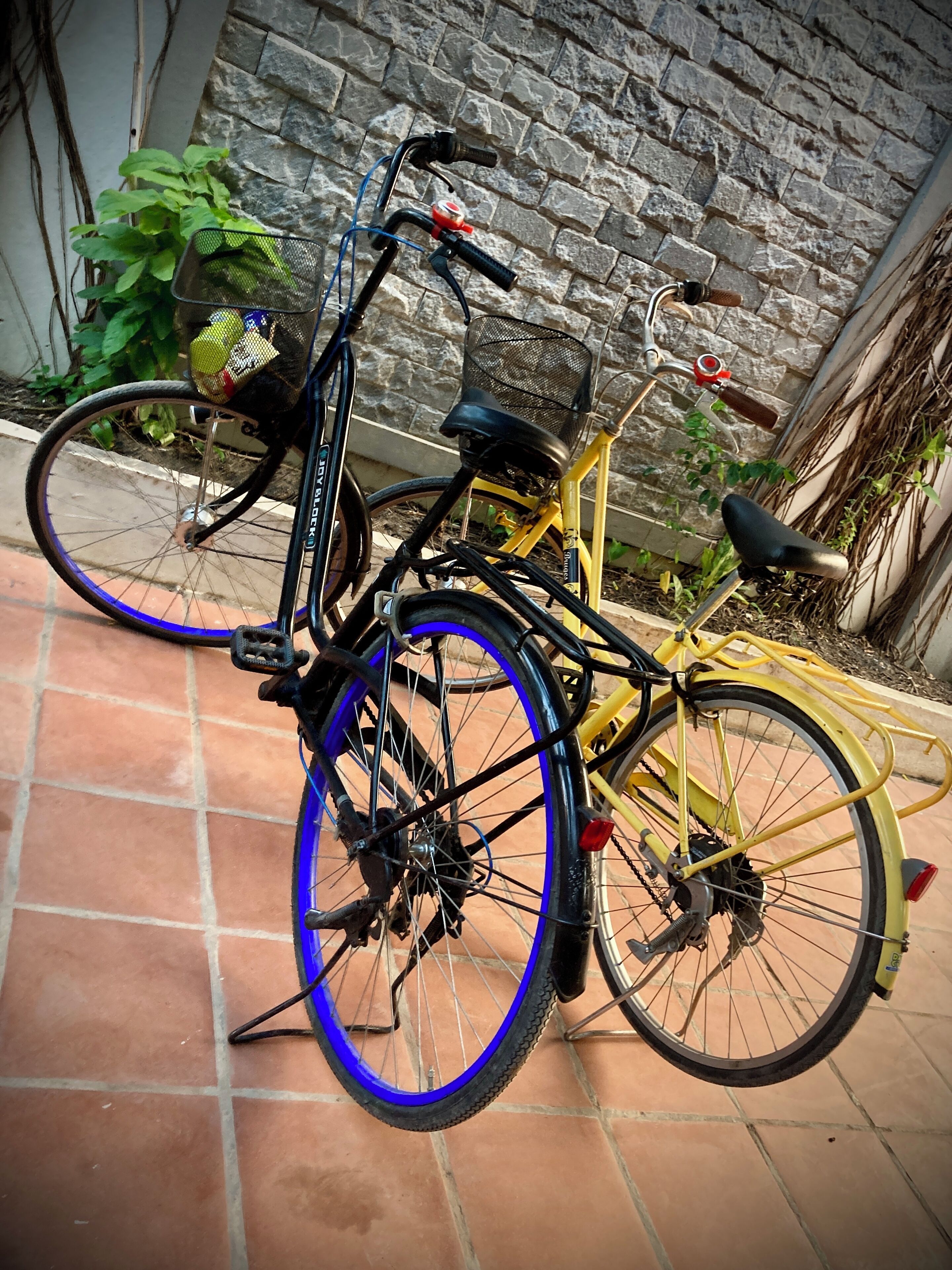 Foto - Lotus Haven Villa