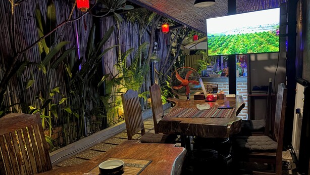 Un espace intérieur accueillant avec une table en bois, des chaises, un écran de télévision et des plantes décoratives.