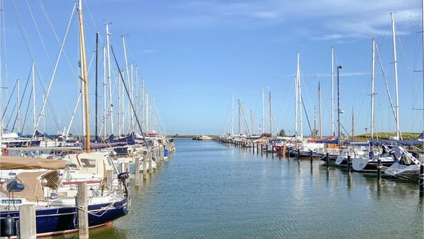 Una marina con numerosi cabinati ormeggiati lungo una tranquilla via d'acqua.