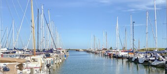 Pet friendly home in Dirkshorn