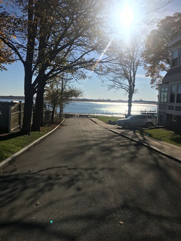 A paved pathway leading to a waterfront, with trees and a building on one side.