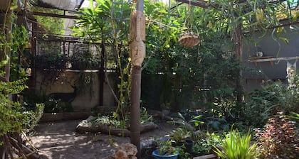 Cozy 1-bedroom apartment with a beautiful garden in Be'er Sheva with WiFi, AC