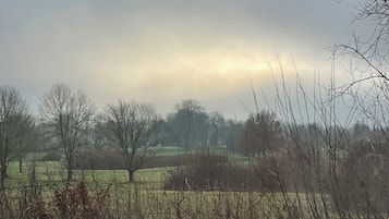 Ländliche Landschaft mit Bäumen und offenen Feldern.