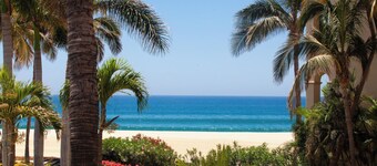 Las Mañanitas LM C209