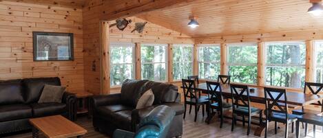 Télévision, cheminée, lecteur de DVD, vidéothÚque