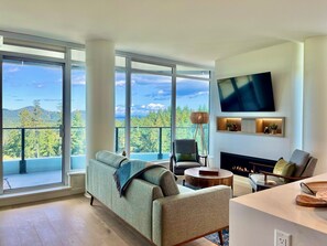 Smart TV, fireplace, books