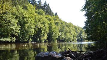 A serene river surrounded by dense forest.