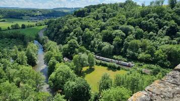 Una vista panoràmica d'un riu que serpenteja per una vall exuberanta, amb un bosc dens i un tren passant per un pont.
