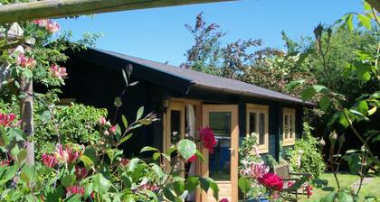Pet Friendly - Walkers Paradise - South Facing