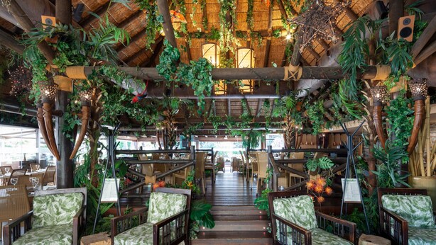 A restaurant with wooden furniture, a staircase, and hanging plants.