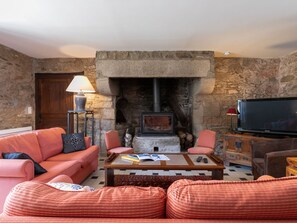 Fernseher, Kamin