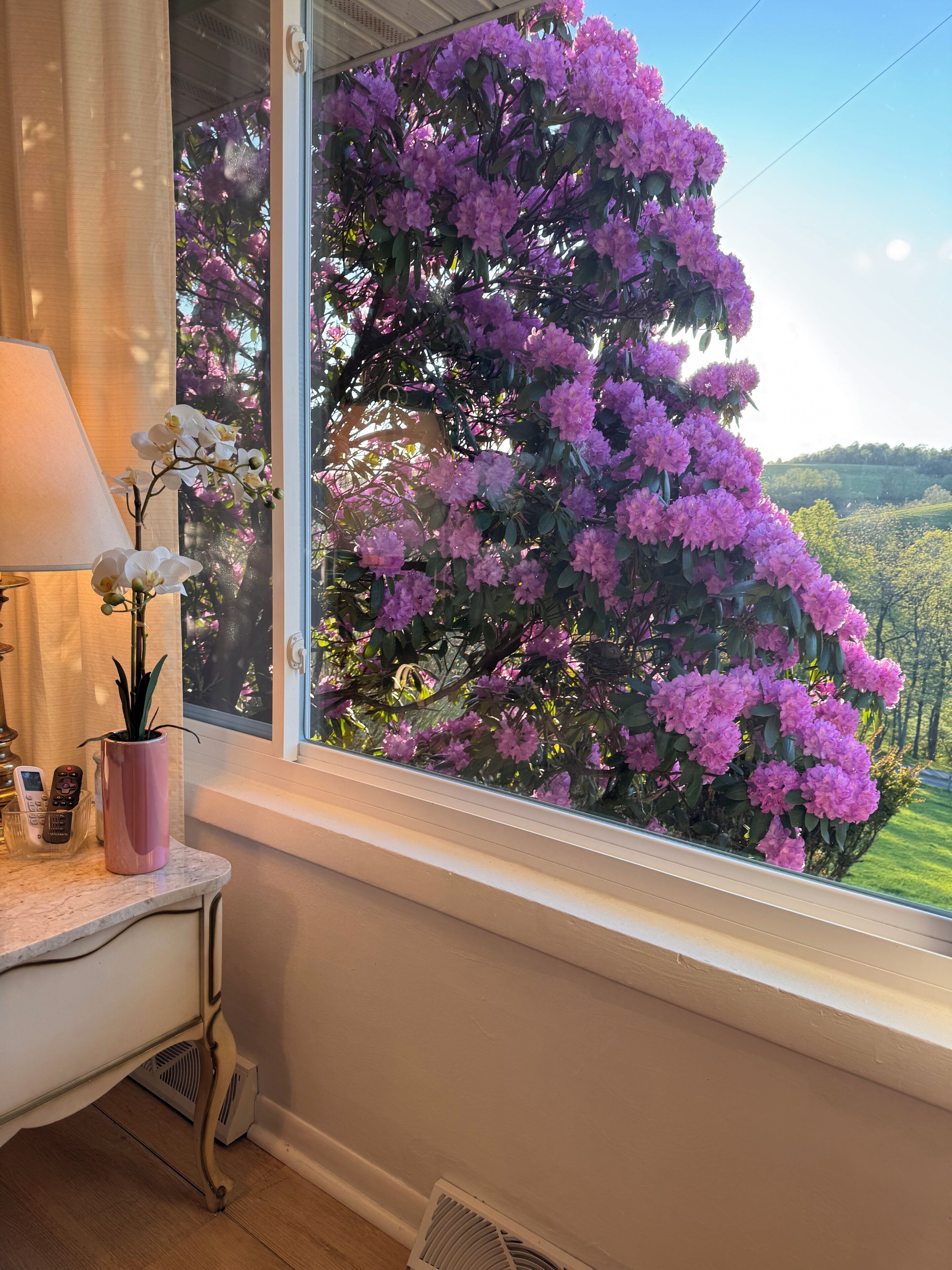 Ein Fenster mit Blick auf lila Blumen und einer weißen Lampe auf einem Nachttisch.