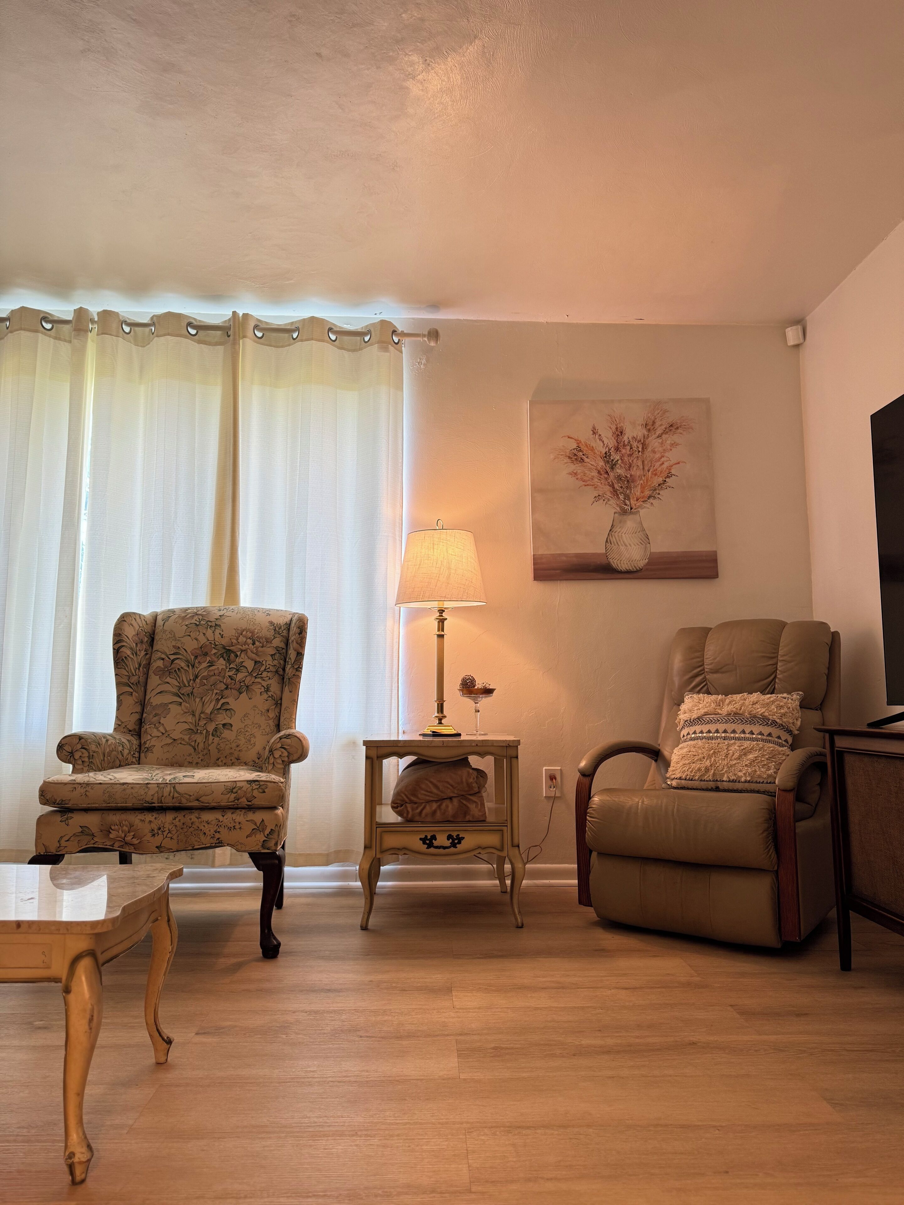 Smart-tv, pejs, bøger