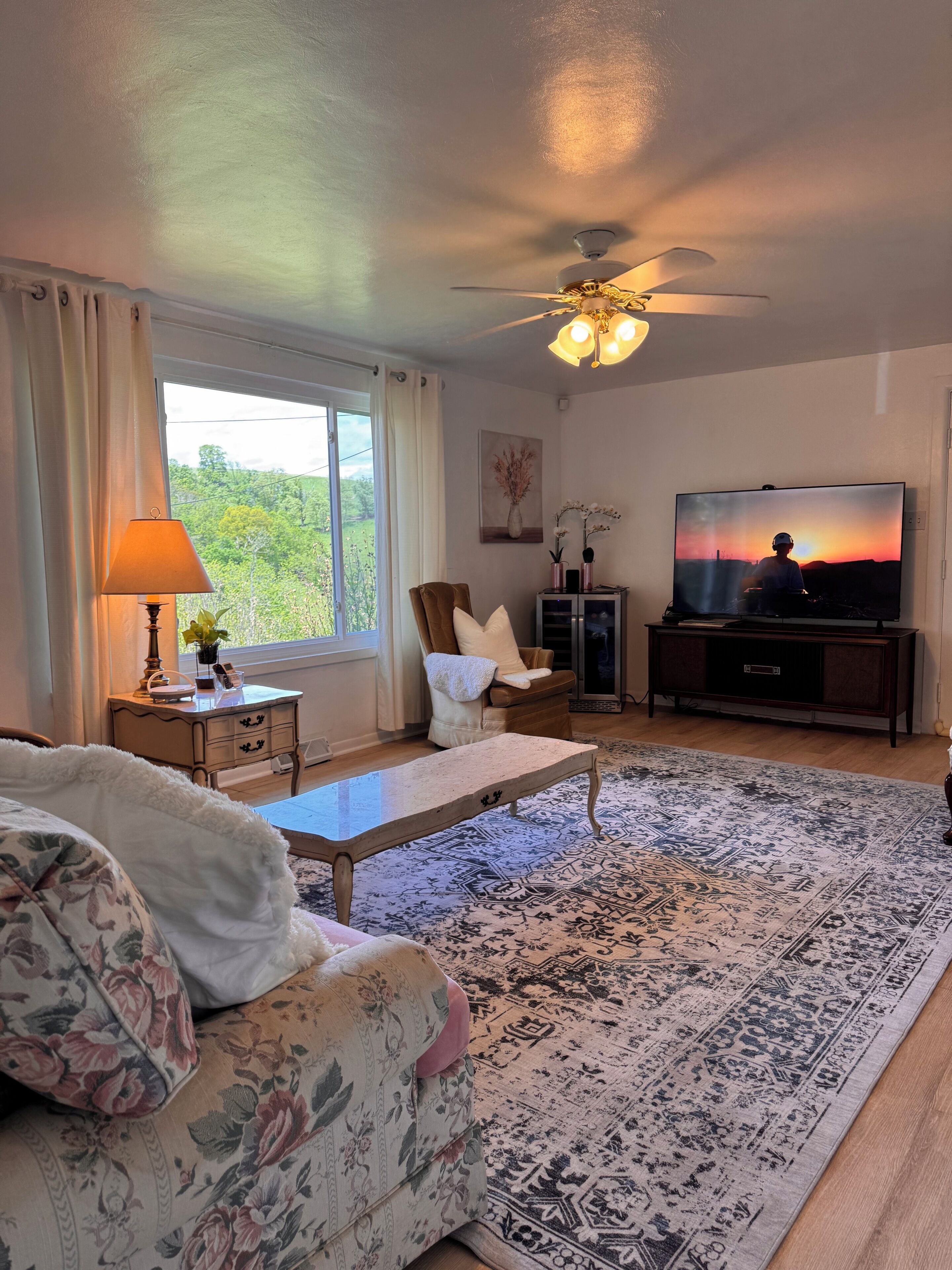 Smart TV, fireplace, books