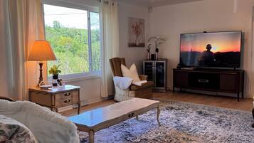 Smart TV, fireplace, books