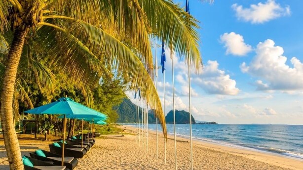Ein Strand mit Palmen, Liegestühlen und Sonnenschirmen.