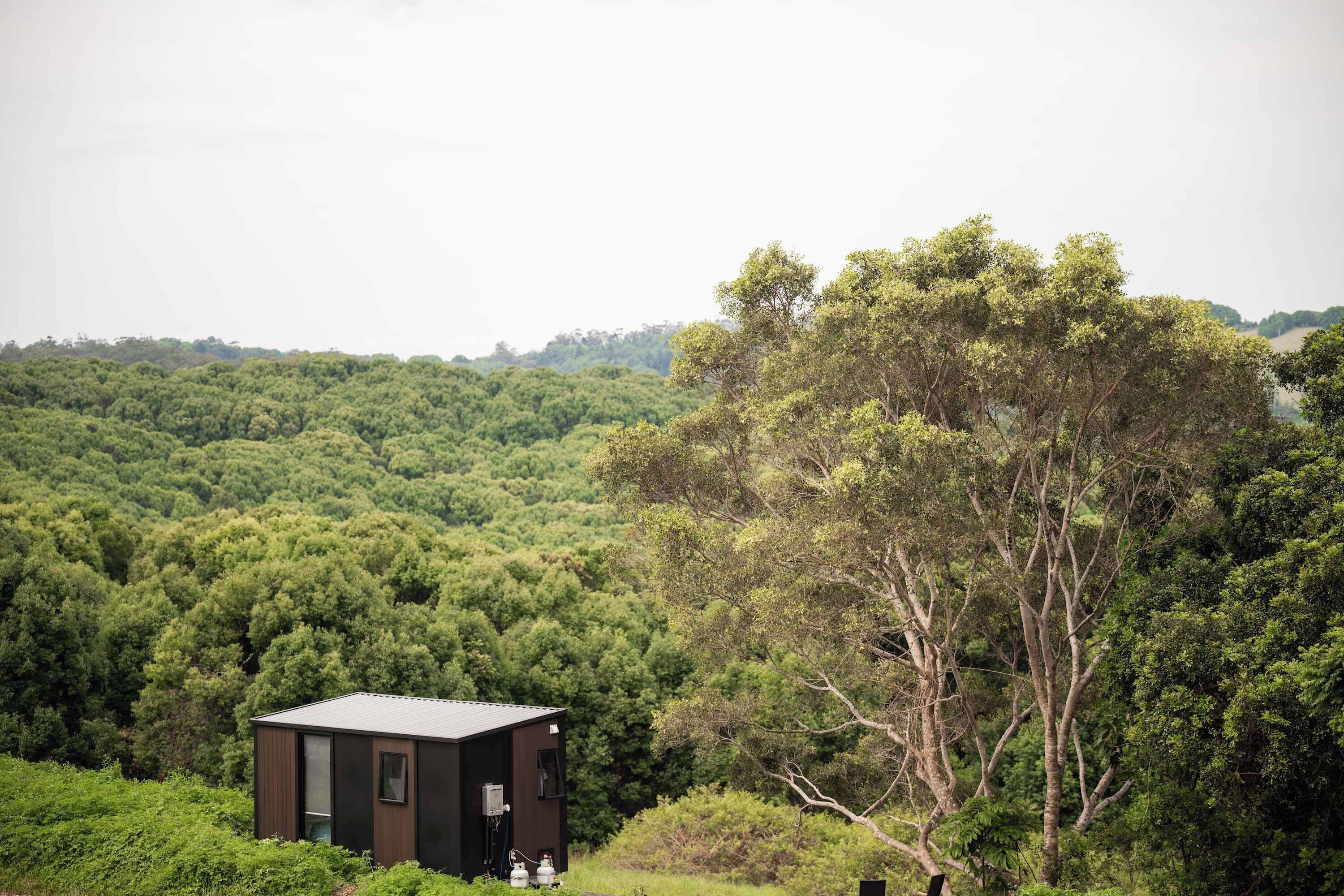 A small, dark-colored cabin with a single window and a door, surrounded by dense green forest.