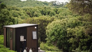 Uma pequena cabana de madeira escura com telhado de metal, rodeada por vegetação exuberante.