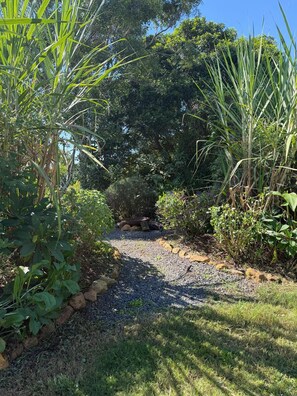 Ein Gartenpfad, umgeben von verschiedenen Pflanzen und Bäumen.