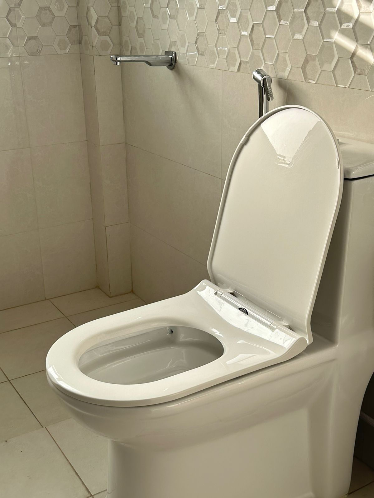A modern toilet with a raised seat and a wall-mounted bidet.