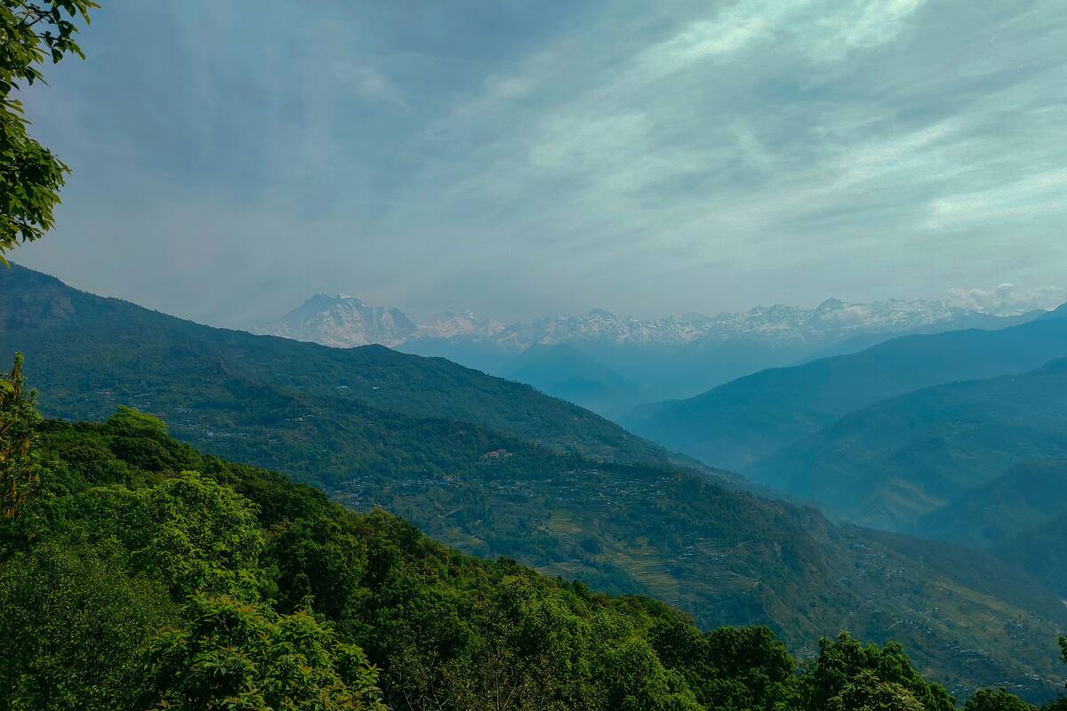 A mountainous landscape with dense forests and distant snow-capped peaks.