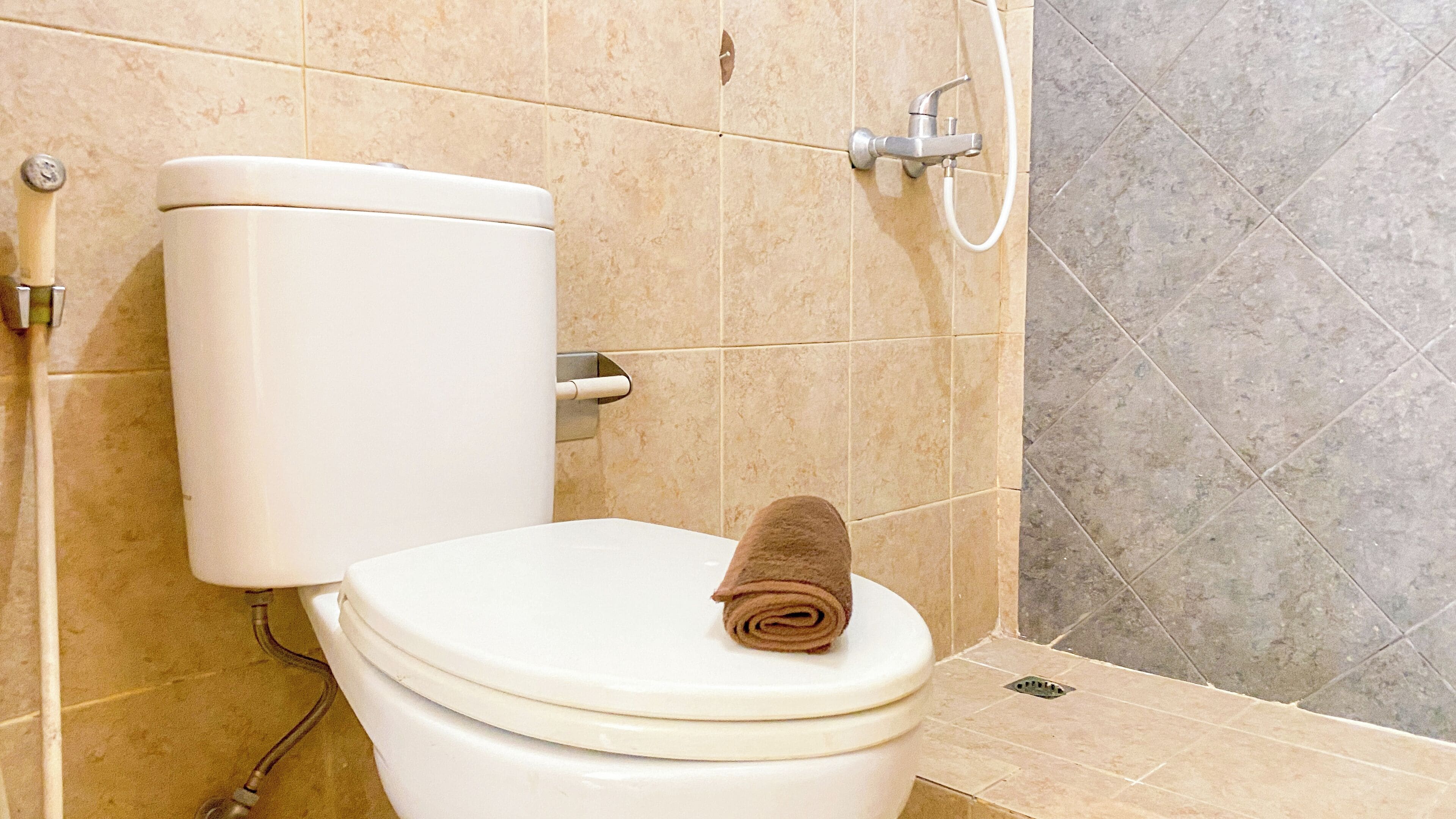 Deluxe Apartment (twin) | Bathroom | Shower, free toiletries, towels