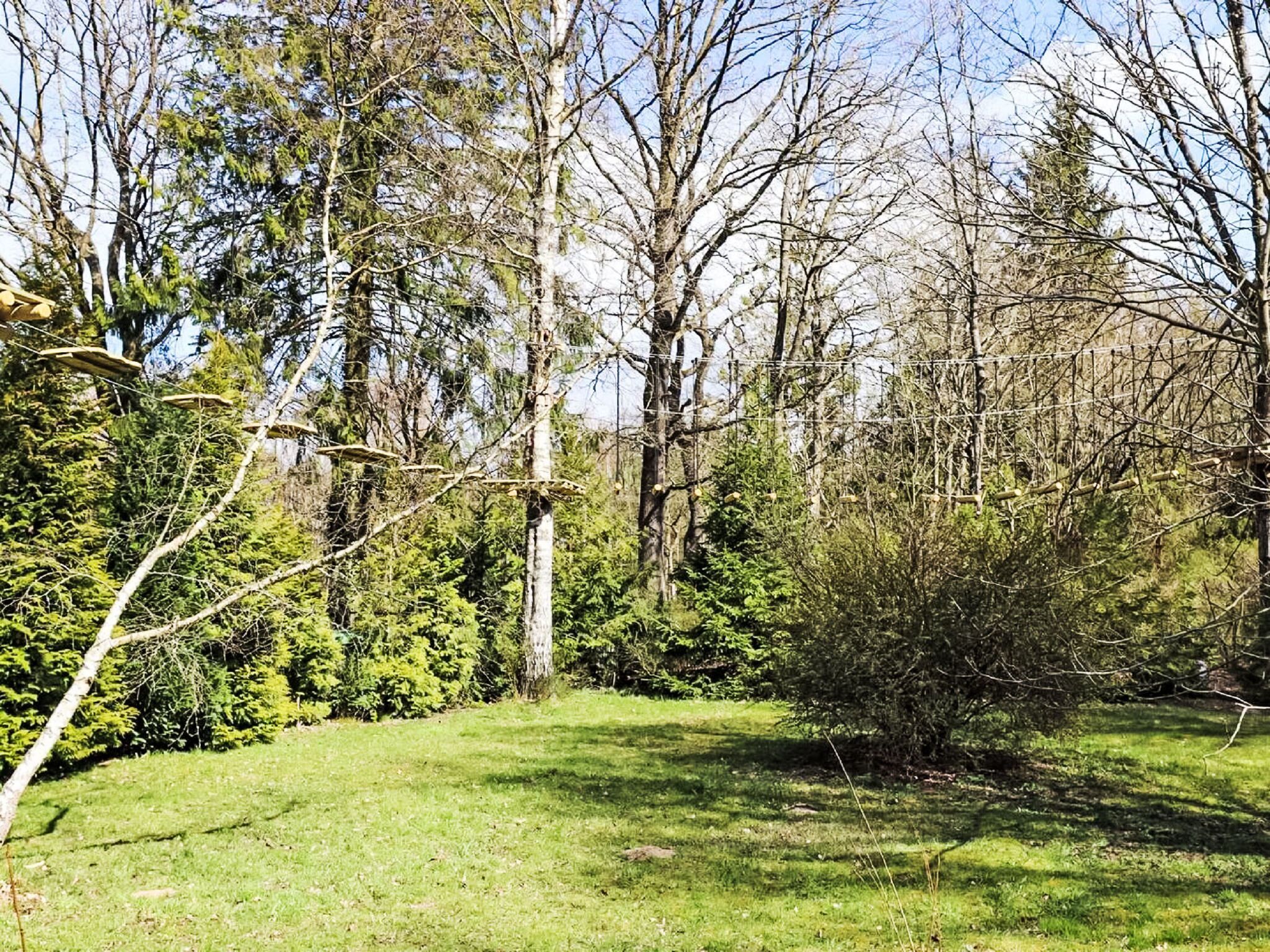 A natural outdoor area with trees and grass.
