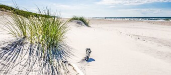 Pod Dębami by Interhome