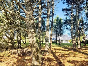 Overnatningsstedets område