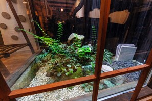 Maison mitoyenne Design, vue jardin | Vue sur le jardin
