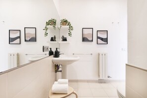 Shower, hair dryer, bidet, towels